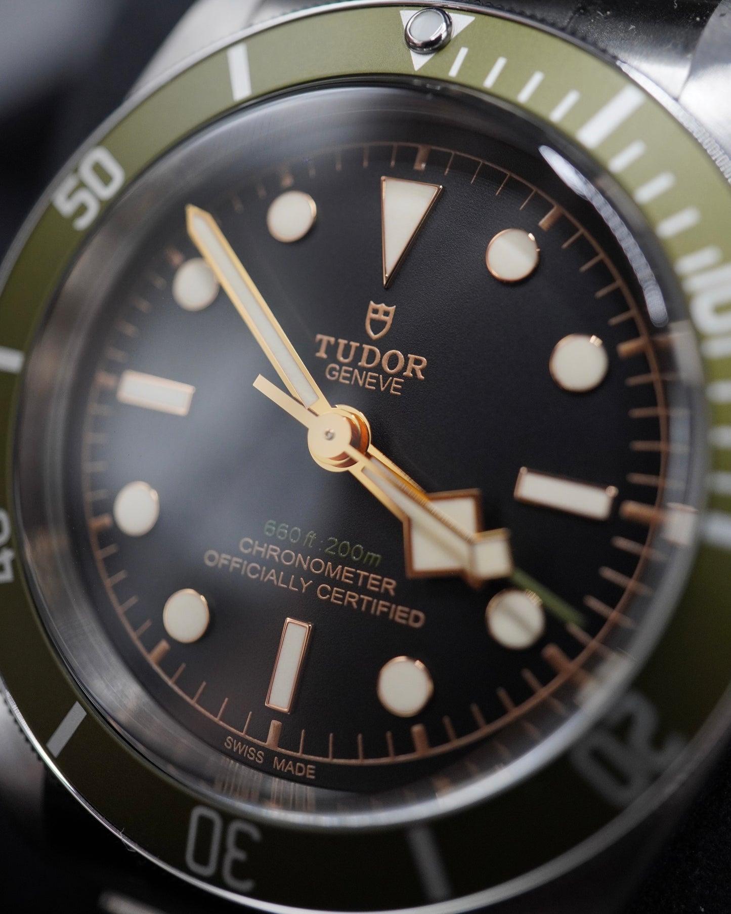 Tudor Black Bay โHarrods Exclusiveโ - M79230G