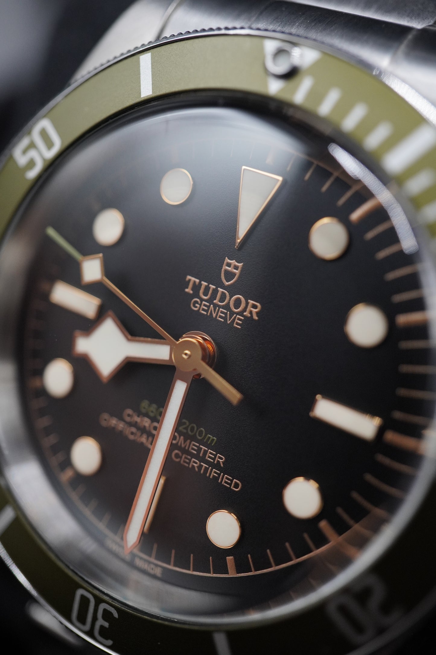 Tudor Black Bay Harrods Exclusive - M79230G