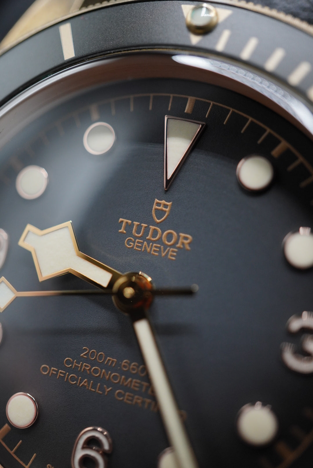 Tudor Black Bay Bronze 43mm - M79250BA