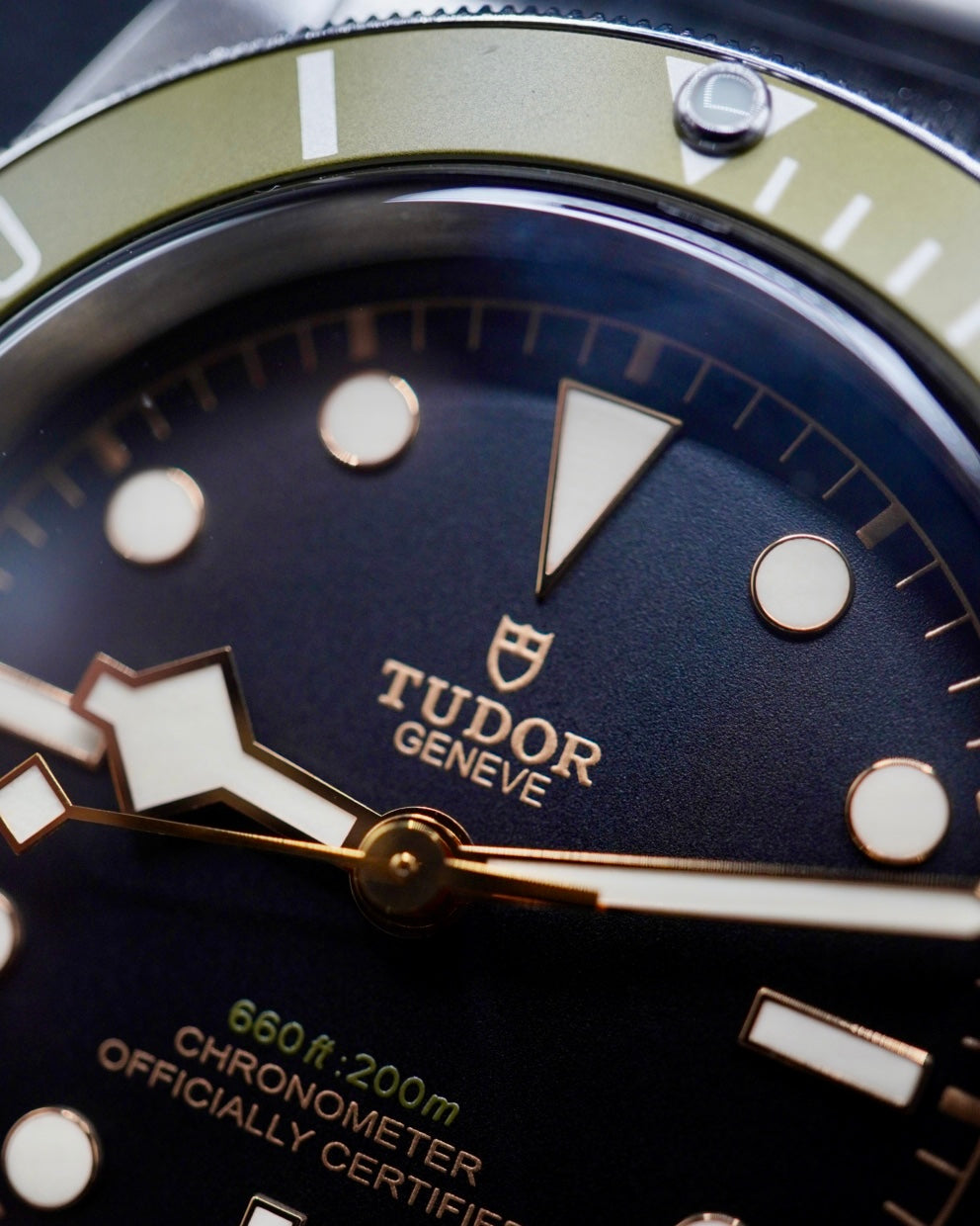 Tudor Black Bay 'Harrods Exclusive' - M79230G
