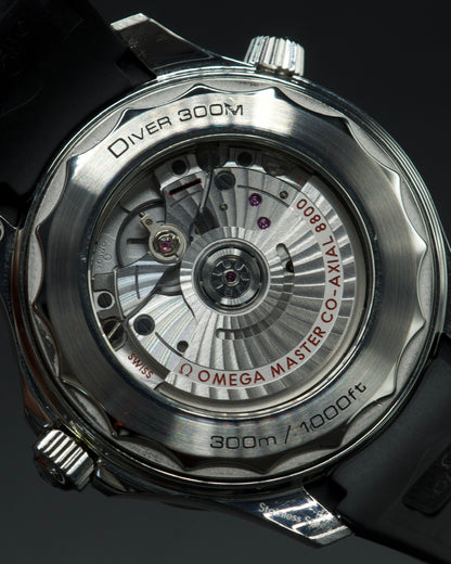 Omega Seamaster Professional 300M - 210.32.42.20.04.001